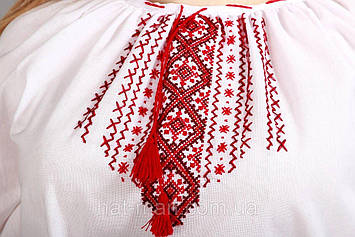 Блузка ручної вишивки, червоні орнаменти Код/Артикул 2