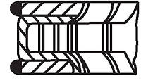 Комплект колец на поршень FORD C-MAX (DM2) / FORD MONDEO (B5Y) 2000-2013 г.