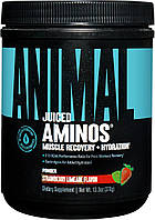 Animal Juiced Aminos + Hydration, 378g (Strawberry Limeade)