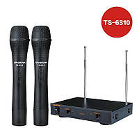 Беспроводная микрофонная система Takstar TS-6310