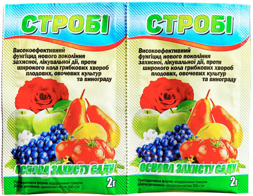 ит стиліндегі шашты письки бар әдемі брюнеткалар Жас әйелді азғырған секс видеосы