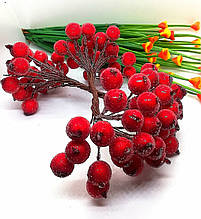 Калина цукор. Діаметр — 1,2 см. 40 шт. у пучці. Колір червоний.