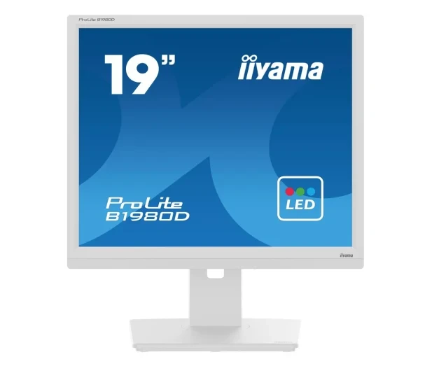 Iiyama B1980D-W5