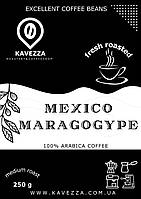 Мексика Марагоджип (Mexico Maragogype), 250 г (100% арабіка)