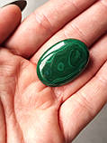 Малахіт кабошон овал 30*21*5,5 мм. Натуральний малахіт камінь., фото 5
