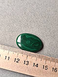 Малахіт кабошон овал 30*21*5,5 мм. Натуральний малахіт камінь., фото 6