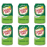 Набор Напиток Canada Dry Ginger Ale 330ml 6шт