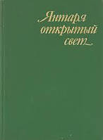 Янтаря открытый свет. Каталог янтарных изделий. СССР