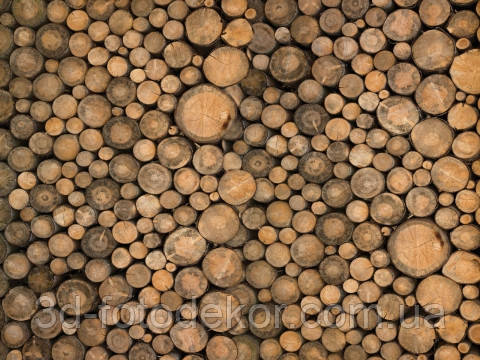 Фотошпалери "Колоди" - Будь-який розмір! Читаємо опис!
