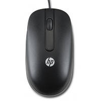 Мышка HP Optical Scroll USB QY777AA n