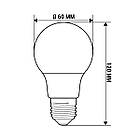 Світлодіодна лампа PHILIPS ESS LEDBulb 13 W E27 865 A60 1CT/12 RCA (929002305387), фото 7