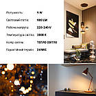 Світлодіодна лампа PHILIPS ESS LEDBulb 9 W E27 830 A60 1CT/12 RCA (929002299287), фото 5