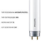 Світлодіодна лампа PHILIPS Ecofit LEDtube 600 mm 8 W G13 840 T8 RCA, одностороннє під'єднання (929001276237), фото 3
