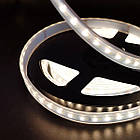 Світлодіодна стрічка Mi-light COB 2835 Dual White LED Strip 192LED/M (2700-6500К) 24V, герметична, фото 3