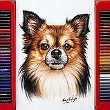 Професійні кольорові олівці з грифелем на масляній основі KALOUR 180 кольорів в металевій коробці, фото 8