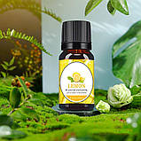 Водорозчинна ефірна олія для зволожувачів повітря Лимон 10мл, фото 4