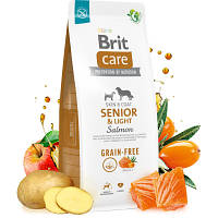 Сухой корм для собак Brit Care Dog Grain-free Senior&Light с лососем 1 кг 8595602558940 n