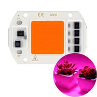 Светодиодная фито матрица с драйвером COB LED 50Вт 220В фитосветодиод and