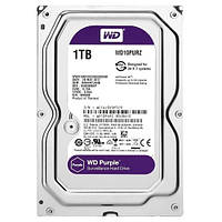 Жорсткий диск Western Digital Purple 1TB 64MB 5400rpm WD10PURZ 3.5 SATA III m