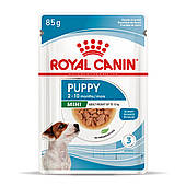 Паучі для цуценяти міні породи вологий Royal Canin Mini Puppy 85 г х 12 шт.