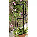 Садова колона опора для троянд квітів Пергола 197 см Gardlov 21029 + Анкери, фото 5