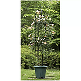 Садова колона опора для троянд квітів Пергола 197 см Gardlov 21029 + Анкери, фото 3