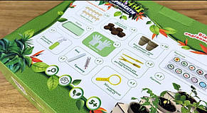 Набір Ботанічні експерименти Флораріум, фото 3