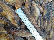 Бичок зеленчак свіжеморожений