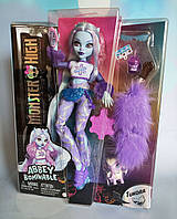 Монстр Хай Еббі Бомінейбл з вихованцем Колекційна лялька Monster High Doll Abbey Bominable Yeti HNF64