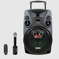 Музыкальная колонка с караоке и микрофоном для музыки Bluetooth акустическая система громкая блютуз SNM