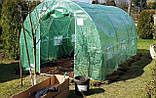 Садова теплиця (парник) 2,5x4x2 м Focus Garden Польща зелена, фото 10