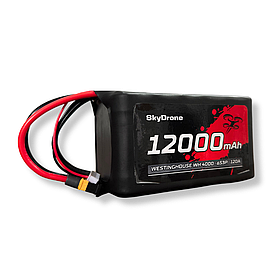 Акумулятор для FPV дронів SkyDrone 6S3P 12000 mAh 120A (Westinghouse)