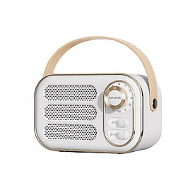 Колонка портативна Bluetooth ретро FM радіо 5Вт 400мАгод AC Prof DW13