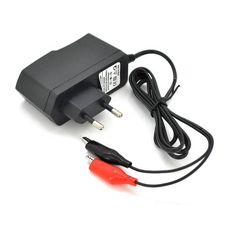 Імпульсний ЗП для акумуляторів Merlion PPI-602000, 6 V, 100-240 V, 1 A, клеми (AGM/GEL/Lead), фото 1