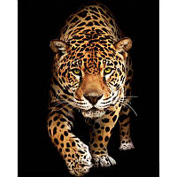 Алмазная мозаика Встреча с леопардом на рамке 40х50см, в кор. 51*43*3см, ТМ Strateg, Украина (SK79464кор)