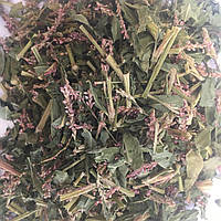Очиток пурпуровий трава (Заяча капуста) Карпаты 50 г ST, код: 7513255