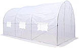 Садова теплиця (парник) 2,5x4x2 м Focus Garden Польща біла (2 дверей), фото 5