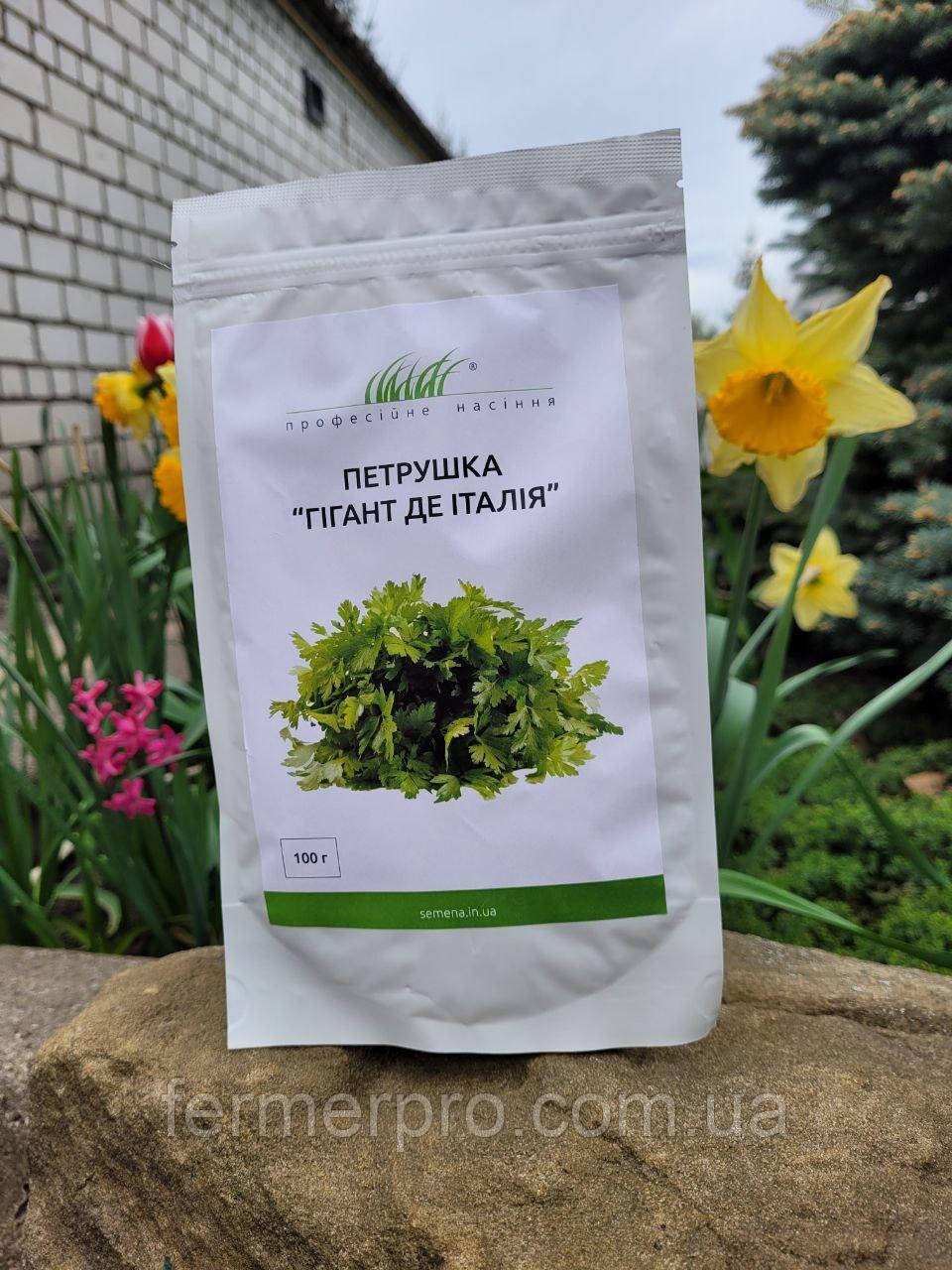 Насіння петрушки Гіганте де Італія 0,1 кг, фото 1
