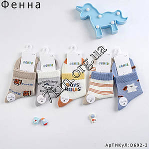 Шкарпетки дитячі Оптом для хлопчиків 3-5 років "Rules" Фена D692-2