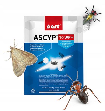 Інсектицид від літаючих комах та мурах Best-Pest  Ascyp 10 WP (Польща), фото 2