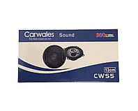Коаксіальні динаміки Carwales Sound CWS5 13см 300W