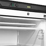 Морозильна шафа TEFCOLD UFFS371G, фото 4