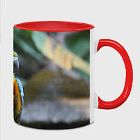 Чашка с принтом «Красавец попугай» (цвет чашки на выбор)