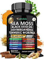 Поддержка энергии Adndale Sea Moss Black Seed Oil Ashwagandha Ginger 90 капсул