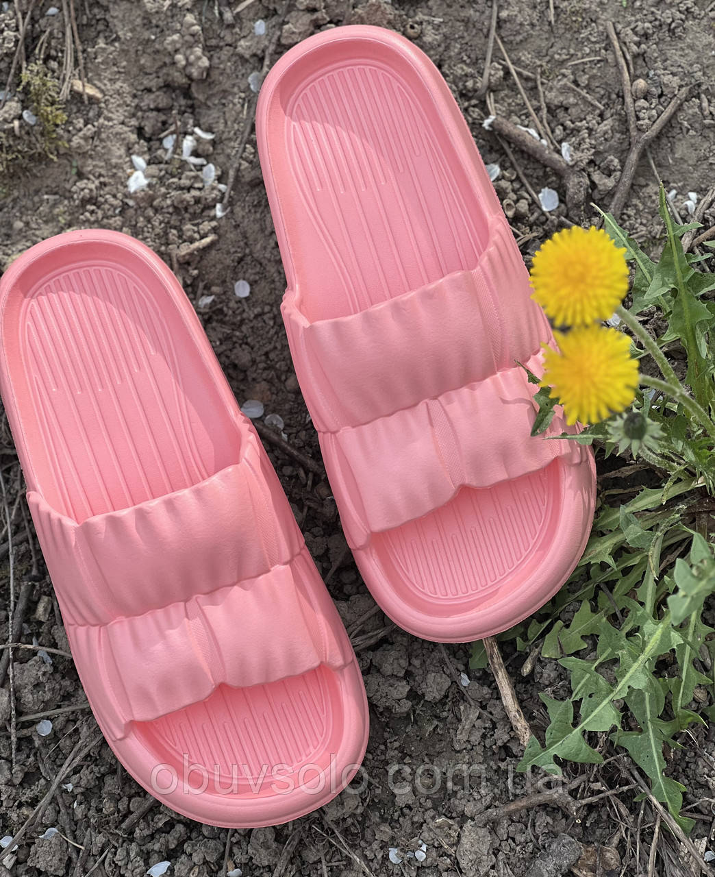 Сланці жіночі ЕВА Payas