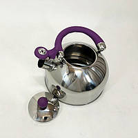 Чайник газовий Unique UN-5302, Чайник зі свистком для електроплити, Кухонний BO-834 металевий чайник