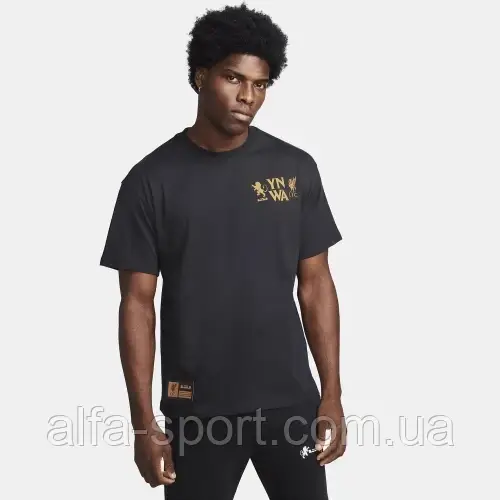 Футболка Nike LeBron M Nk Tee M90 (FQ4906-010)