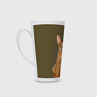 Чашка с принтом Латте «Абиссинская кошка рыжая»