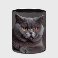 Чашка с принтом «Британская кошка порода» (цвет чашки на выбор)