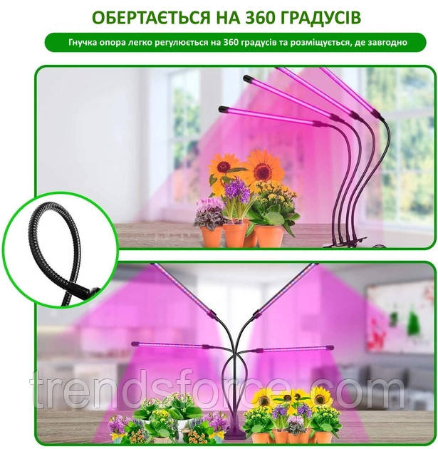 Фитолампа светильник для выращивания растений Fitolamp, 4 Led 207392 - фото 3 - id-p2187139334